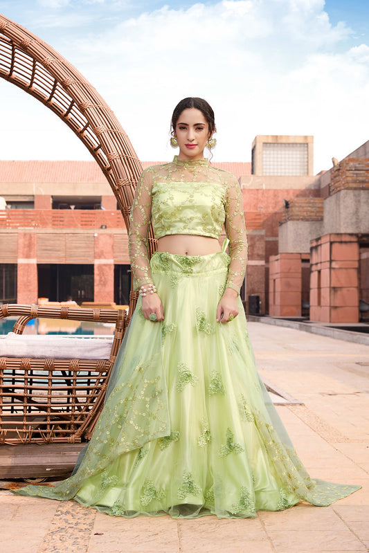 Pista Net Embroidery with sequence work and Fancy Patern Lehenga Choli